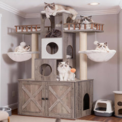 Heybly cat tree perches provide elevated lounging spaces for cats.