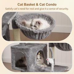Heybly top perch provides a cozy elevated view for napping and observing.