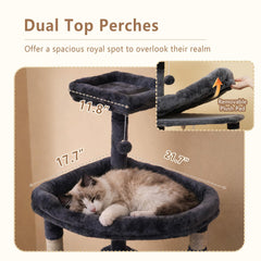 Heybly cat tree top square platform for panoramic views.