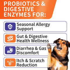 HEYISME Probiotics soft chews for dogs enable easy daily dosing