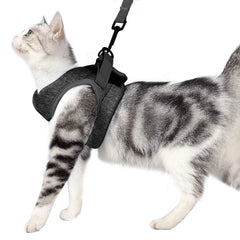 HEYWEAN cat harness escape-proof strap for secure outdoor exploration