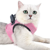 Heywean Cat Harness worn on a cat for comfortable daily walks.