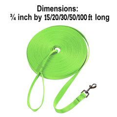 Hi Kiss durable-nylon-leash green closeup highlights reinforced stitching.