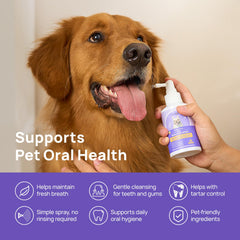 HICC PET dental spray 360-degree head for gumline application