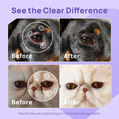 HICC PET dog eye wash nozzle application shows precise, gentle dispensing.