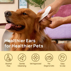 HICC PET all-natural formula supports gentle cleaning with plant-based ingredients.