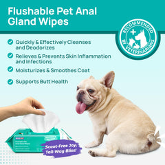 HICC PET Wipes used on a dog's paw for quick dirt and odor removal