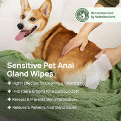 HICC PET Wipes for dogs paw cleaning to remove dirt and odors gently