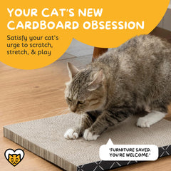Hide & Scratch cat scratcher pad 2-pack side view shows sturdy cardboard for durable play