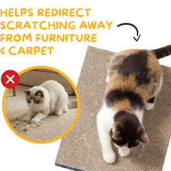 Hide & Scratch refill compatibility pack open shows easy replacement option