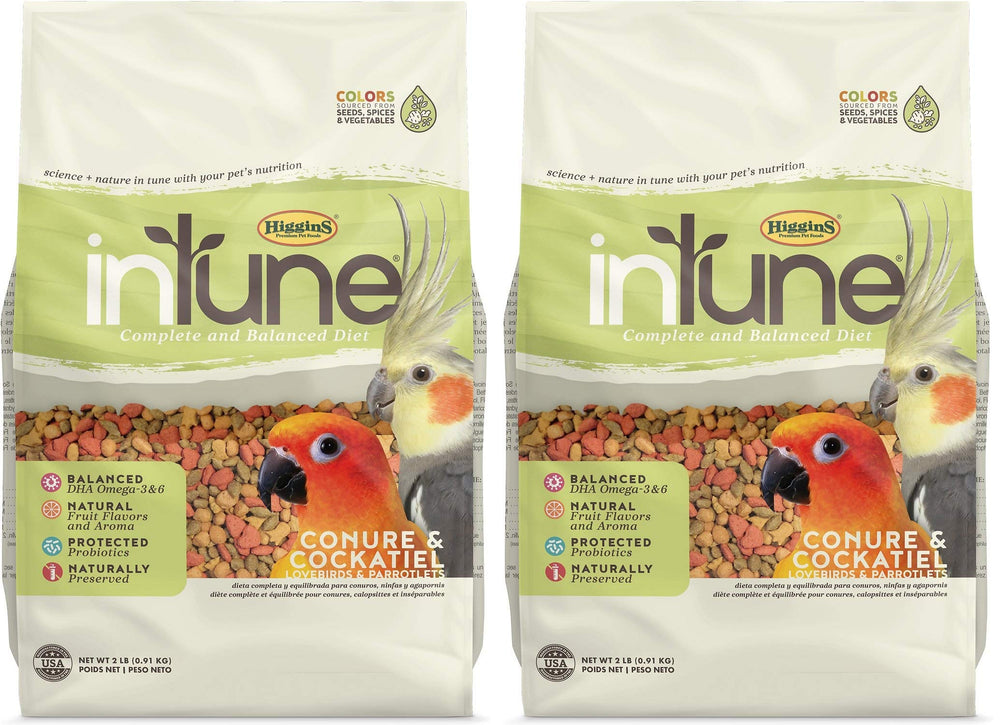 Higgins Intune 2-pack packaging for conure and cockatiel food with natural flavors.
