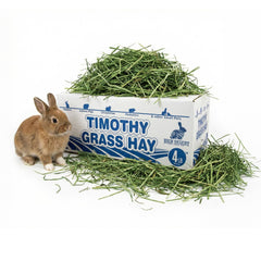 High Desert 2nd Cutting Timothy hay with soft leafy texture for daily grazing