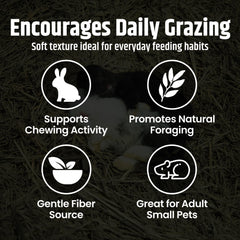 High Desert Orchard Grass Hay fresh aroma ideal for daily feeding routines.
