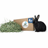High Desert Orchard Grass Hay with soft leafy texture for gentle daily grazing.