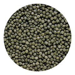 Hikari Cichlid Excel mini pellets color enhancement visible on cichlids.
