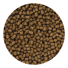 Hikari Lionhead sinking pellets close-up illustrates color-boosting formula in action