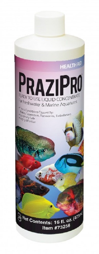 Hikari Prazipro 16oz bottle pouring into aquarium water for parasite treatment