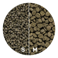 Hikari Seaweed Extreme nutrition supports growth and coloration in reef fish