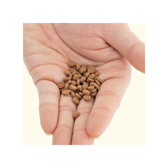Hikari Sinking Carnivore Pellets 74 g pack convenient feeding