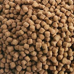 Hikari wheat germ pellets in a pet bowl ready for mealtime