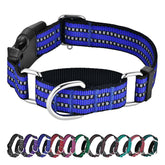 Hikiko Martingale Collar blue with reflective features for safer night walks