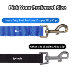 Hi Kiss hikiss long dog leash 30ft in-action shows safe distance for obedience drills.