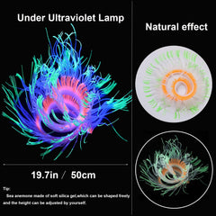 HIKTQIW glowing lotus coral creates a soft reef accent.