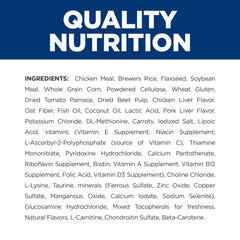 Dog in park demonstrates mobility with Hill's Metabolic + j/d.