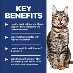 Hill's Science Diet Indoor 7+ serving bowl ready-to-serve meal for aging cats