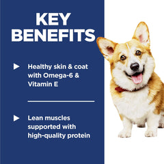 Dog eating Hill's Science Diet Adult 1-6 small bites meal