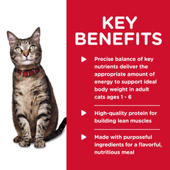 Hill's Science Diet Chicken Minced close-up shows minced texture appealing to cats.
