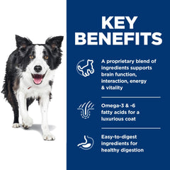 Hill's Science Diet Senior Vitality ingredients scene showcases natural components for everyday support