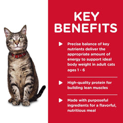24-pack of Hill's Science Diet wet cat food for convenient daily feeding.