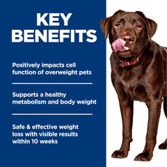 Hill's Science Diet serving bowl with kibble promotes portion control and satiety.