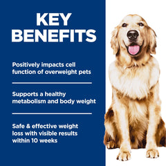 Hill's Science Diet Adult Perfect Weight meal bowl shows portion-controlled feeding for balanced energy.