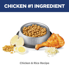 Scatter of natural ingredients showing fiber for hairball reduction