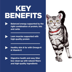 Serving bowl showcases digestive-friendly formula aiding comfortable litter box visits
