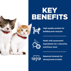 Hill's Science Diet Savory Salmon Entrée close-up highlights omega-3 and palatable texture for kittens.
