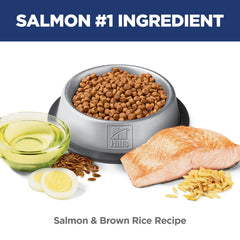 Hill's Science Diet Kitten in bowl serving highlights balanced nutrition for sensitive stomachs.