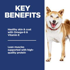 Hill's Science Diet omega-6 coat care kibble close-up for shiny coat