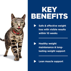Hill's Science Diet Perfect Weight serving bowl depicts palatable texture your cat may enjoy.