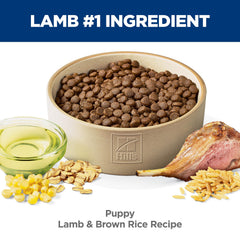 Hill's Science Diet Puppy Lamb Meal & Brown Rice brain-eye image: DHA supports brain and eye development.