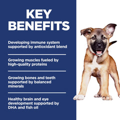Hill's Science Diet Puppy Large Breed chicken flavor closeup supports appealing meals.