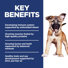 Hill's Science Diet Puppy Large Breed feeding bowl with kibble illustrates a calm meal routine