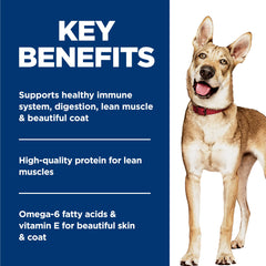 Hill's Science Diet served in a bowl supports palatability and hydration for dogs.