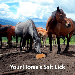 Himalayan Nature hard rock salt lick blocks resist biting and rain.