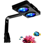 Hipargero A036 aquarium light front view showcases reef spectrum for vibrant corals