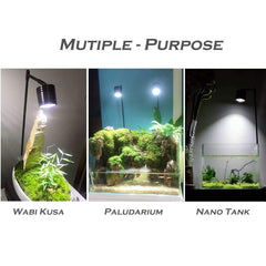 Hiro Aquatics 6500K white light at 1200 lumens for crisp plant illumination.