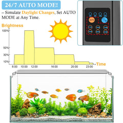 Hitop auto timer display illustrating 24/7 cycle for consistent lighting.