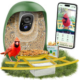 HIXX Smart Bird Feeder camera setup for real-time birdwatching on your phone
